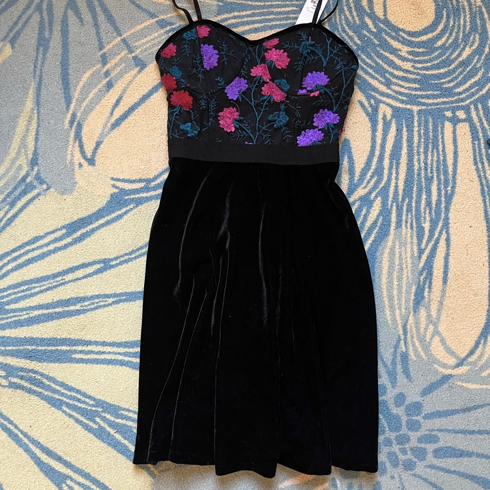 Velvet embroidered dress